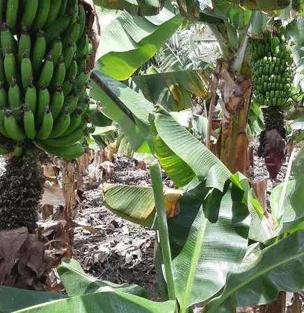 Happy Hello 度假居