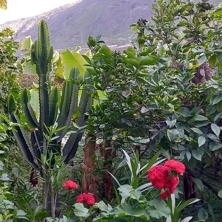Happy Hello Holiday home Garachico (Tenerife)