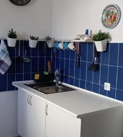 Happy Hello 加拉奇科