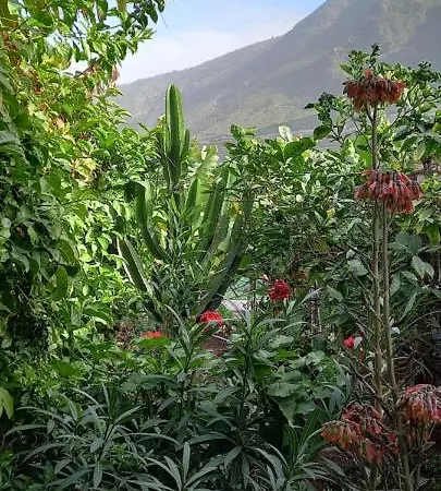 度假居 Happy Hello