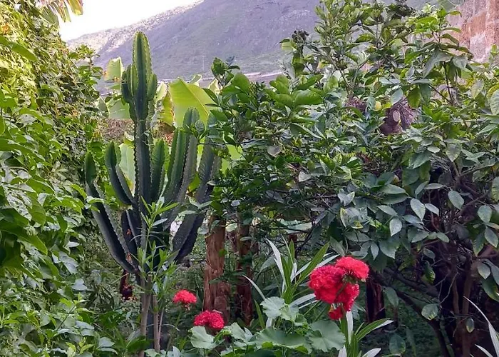 Happy Hello Feriehus Garachico (Tenerife)