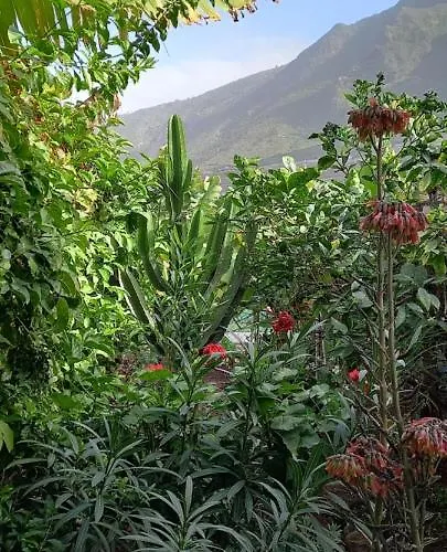 Feriehus Happy Hello