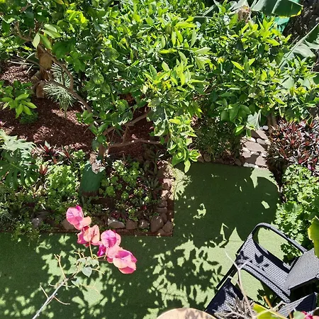 別荘 Happy Hello *